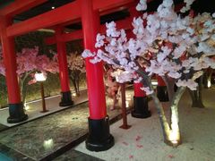 -蓝鲸湾汤泉(包河店)