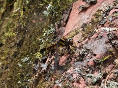 -赤水丹霞旅游区·佛光岩