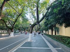 -颐和路民国时期公馆风貌区