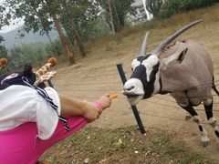 -大连森林动物园