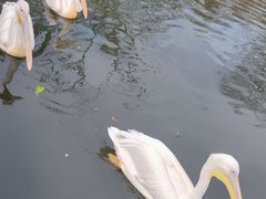 -昆明动物园