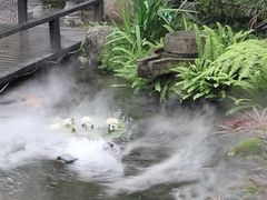 -大自然(鲁家村店)