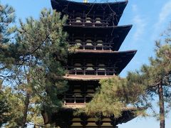 -北京世界公园