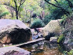 -鲁山国家森林公园