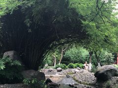 -温江公园