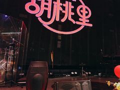 -胡桃里乐队酒馆