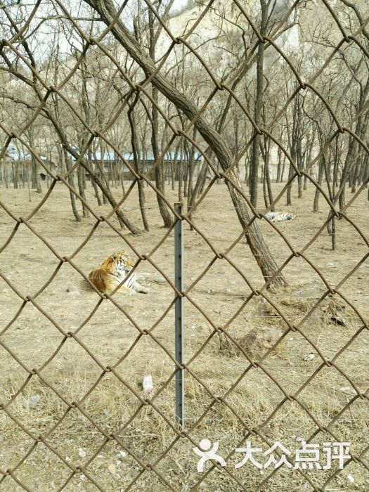 大城山动物园图片 - 第22张