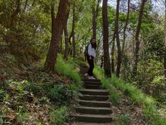 -青龙山国家森林公园