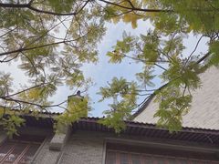 -龙潭水乡