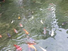 花园酒店-广州花园酒店