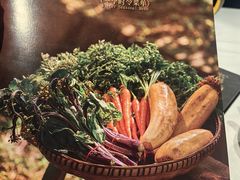 -丹江渔村(望京店)