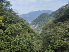 -广州市石门国家森林公园