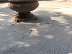 -碧水湾温泉