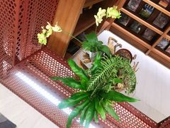 -二酉书店TOYOU BOOKS