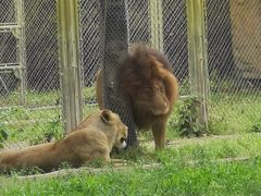 -大连森林动物园