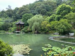-云溪植物园
