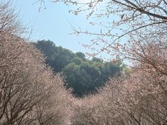 -桃花涧