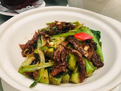 鳞鱼油麦菜-亢龙太子酒轩(东湖店)