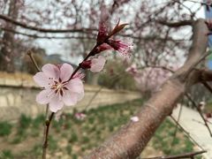 -元大都城垣遗址公园