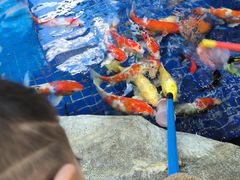 -鸿通城购物中心