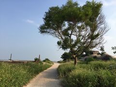 -三娘湾旅游风景区