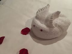 -厦门悦华酒店