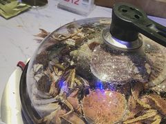 -半岛听涛蒸汽海鲜自助(K11店)