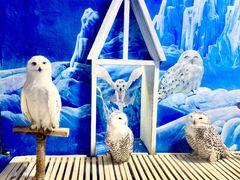 -成都浩海立方海洋公园