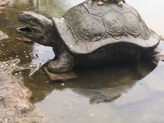 -陶祖圣境风景区