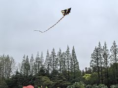 -上海滨江森林公园