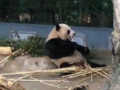 -海南热带野生动植物园