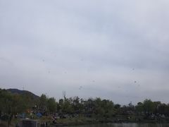 -湘湖金融镇