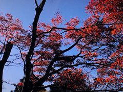 -比叡山