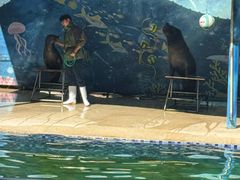 -宁波野生动物园