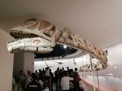 -自贡恐龙博物馆