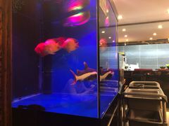 -合幸日本料理·炭火烧肉(观澜御湖店)