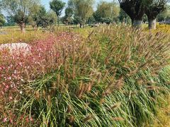 -汉长安城未央宫国家考古遗址公园