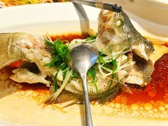 -院里寻菜·精致庭院菜(观沙岭店)