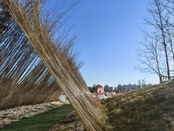 -268童话露营农场·烧烤·团建