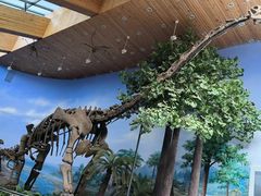 -延庆地质公园博物馆