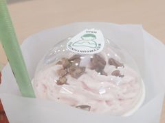 -雾与山茶(大禹城店)