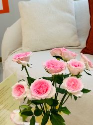 -WENDY·温迪皮肤管理