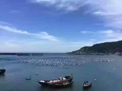 -南麂列岛
