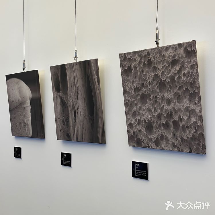 广州｜没想到！东山口还有这样的一面💭