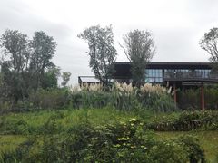 -白鹭湾湿地公园