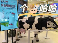 -红星前进面包牛奶公司(君太店)