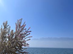-大理洱海