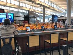 -纽瓦克自由国际机场