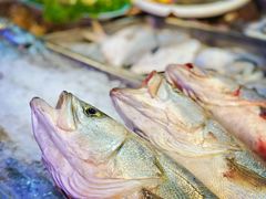 -开海·红岛海鲜虾水饺(石老人店)