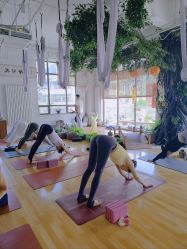 -花间禅净·瑜伽